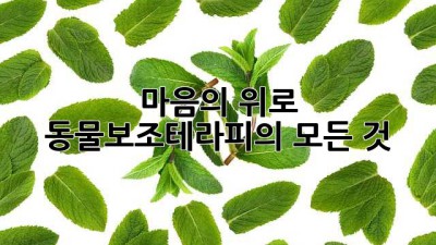 마음의 위로, 동물보조테라피의 모든 것