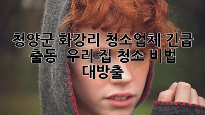 ✨ 청양군 화강리 청소업체 긴급 출동! ✨ 우리 집 청소 비법 대방출 🏡